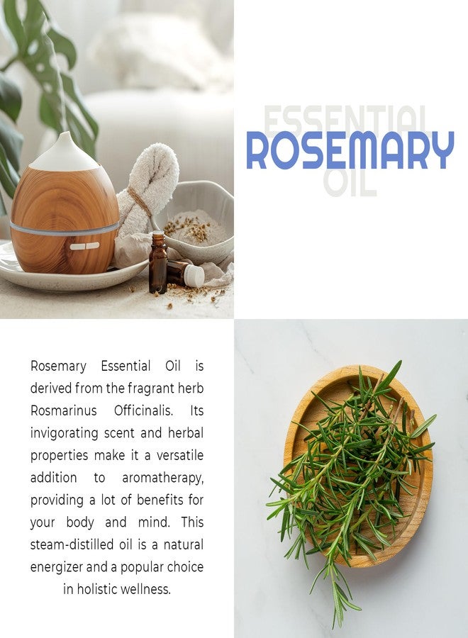 Premium Nature Rosemary Essential Oil for Diffuser Aromatherapy for Skin for Hair Growth Diffuser Oil for Body Oils Aceite de Romero 4oz - Image 3